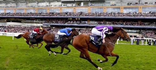 耀莱控股董事局主席綦建虹先生出席英国冠军赛