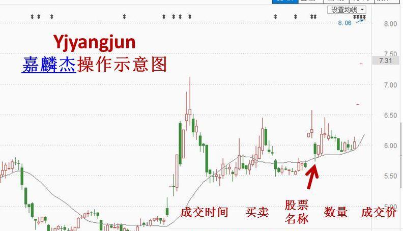 成交时间 股票名称 数量 成交价格 买入 2016/09/13 13:13 嘉麟杰 20