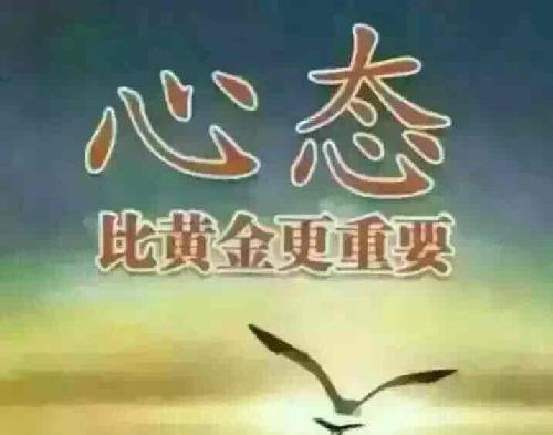 季度对海康威视、歌尔股份、汤臣倍健、老板电