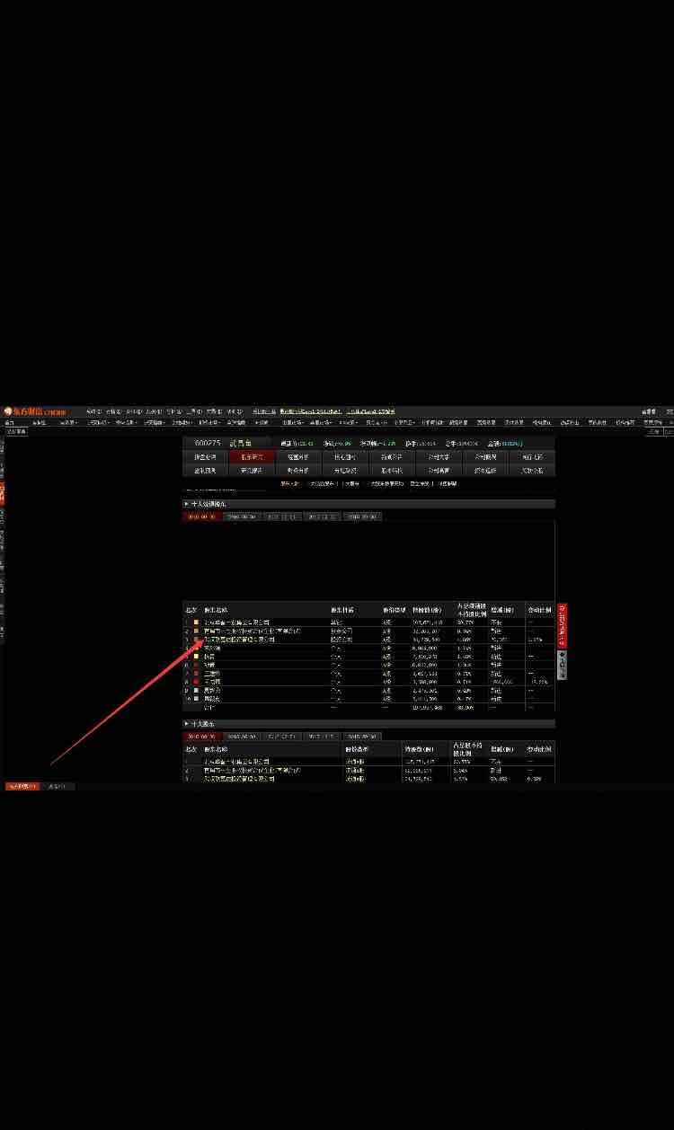 第一个是600275的股东结构,第二个是今晚研究出来的的这个股票的股东
