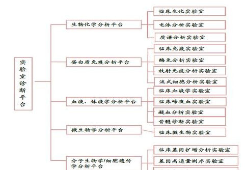 详解迪安诊断,高估值靠何支撑?_迪安诊断(300