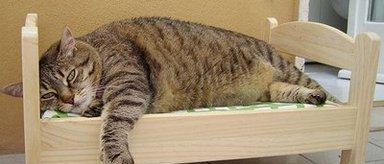 既然已经醒了 还再留恋被窝?_特变电工(60008