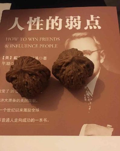 今天开始我只看书_神思电子(300479)股吧_东