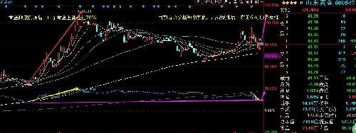 山东黄金_山东黄金收入(2)