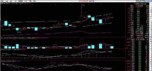 变盘时间到,布林轨道线开口放大,量能放大,主升