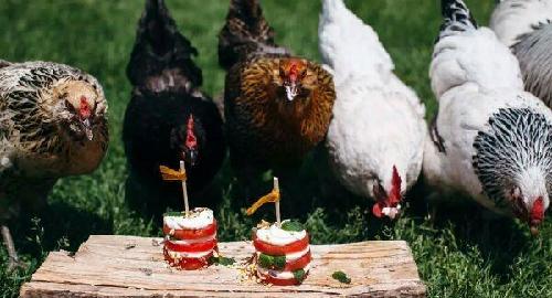 力度过劲了_大庆华科(000985)股吧_东方财富