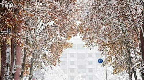 重工雪景1_中信重工(601608)股吧_东方财富网