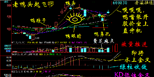 标准的老鸭头形态_众泰汽车(000980)股吧_东方财富网