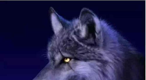 股民--的称谓、是侮辱歧视性的词汇…!请叫我