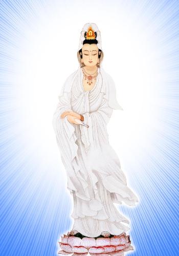 ,ݰ,Ӽƽƽ,޲,һǩ