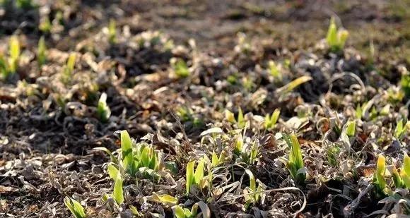 军工单骑救主,展开A股真正的风格转换!(另附军