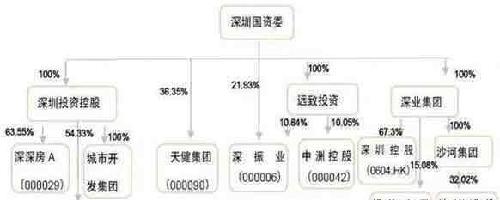 深圳市国资委最大控股深圳业A000011,是否会