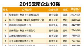 2015云南10强国企排名一览,云铜第四