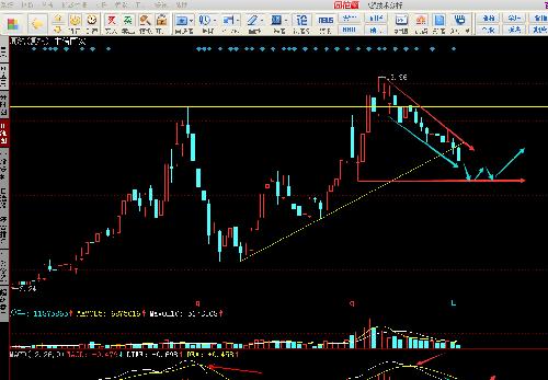 理工环科(002322)_名家互动_买卖点_基本面图