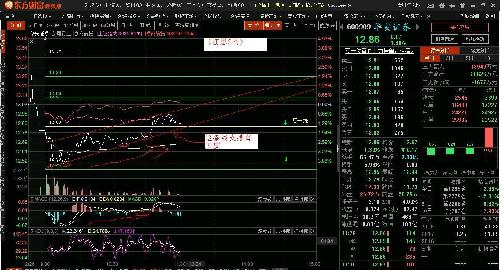 别打脸,这条支撑线有力度。_华安证券(600909