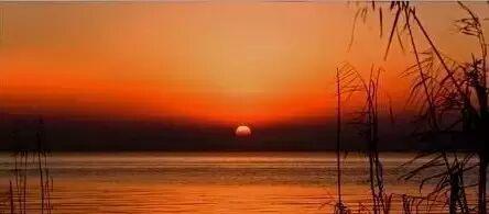 [鼓掌][鼓掌][鼓掌]_亚泰国际(002811)股吧_东方