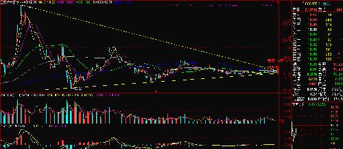重庆啤酒疫苗事件与吴中的比较!_江苏吴中(60
