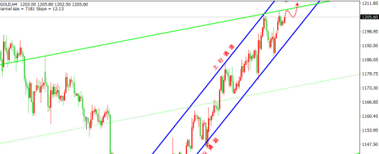 曹向阳:黄金企稳1200关口 风险事件助推上涨-