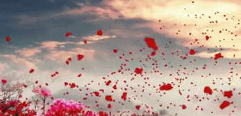 2016年报利润基数低一些,为2017年腾出上升空