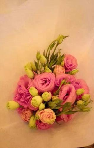 恭祝招迷年年鸿运,万事如意,百事可乐,乐绵绵,年