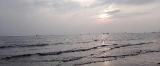 宁波老虎伤人到死雅戈尔应负全责_博客(dcblo