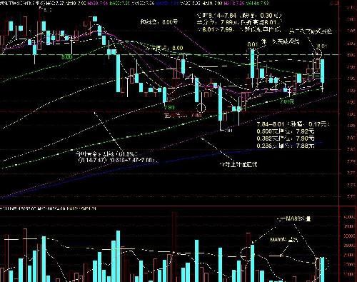 海油工程:分时图_海油工程(600583)股吧_东方