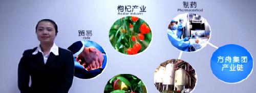 做医药销售技巧和话术_医药销售收入怎么样(3)