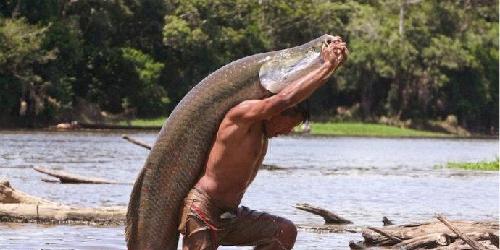 武汉控股需要耐心_武汉控股(600168)股吧_东