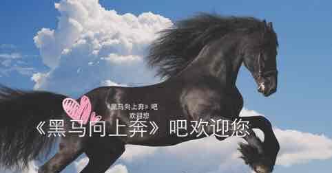 百度贴吧《黑马向上奔》吧,欢迎您来互动交流