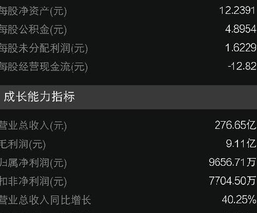 净资产 12 资金流 ―12 啥意思 一年交易 276亿