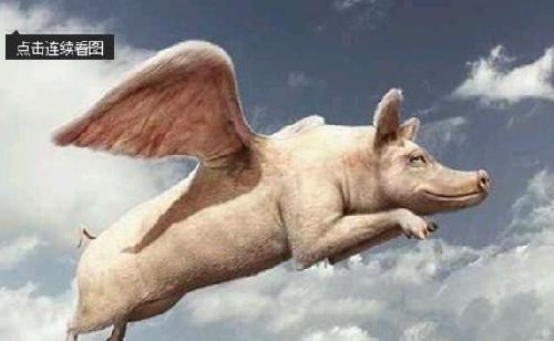 全仓做空风口上的猪_上证指数(zssh000001)股