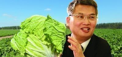 东升说我们京东方永远白菜价_京东方A(00072