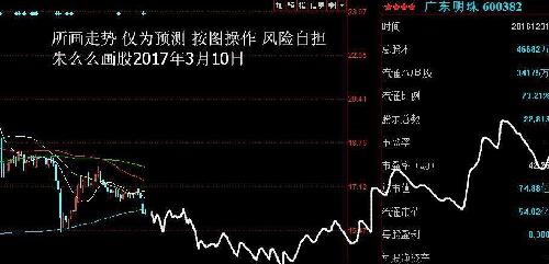 朱么么画股 广东明珠(600382)预测