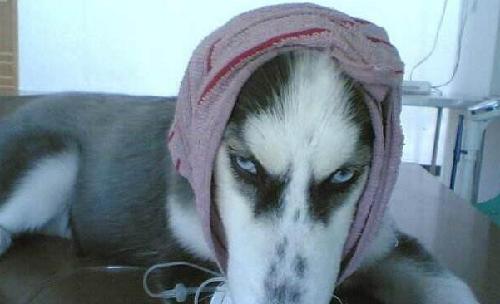 一群逗比_江南化工(002226)股吧_东方财富网