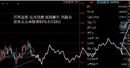 朱么么画股 国发股份(600538)预测图_国发股份