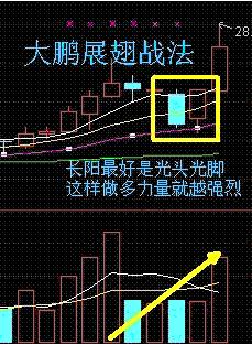 引 私募界最犀利的强势股秘诀,成功率极高! - 李平兴 - 神明五极推手中心