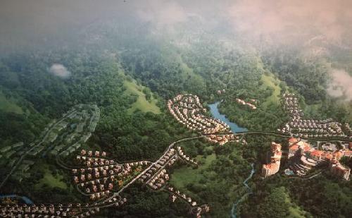 死我都不忍心亏那么多,需要多大的_*ST厦工(6