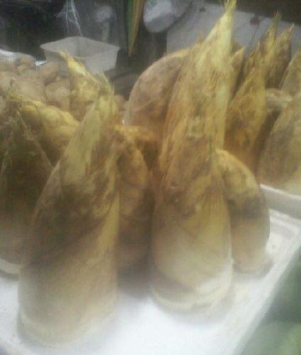 爱建证券开张大吉_爱建集团(600643)股吧_东