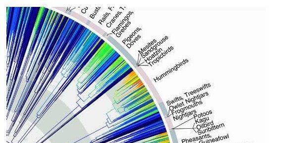 哪怕金融科技再精实,风控仍是苦力活_博客(dc