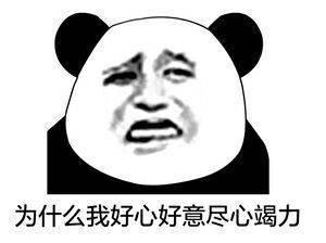 包庇容忍猜成语_看图猜成语(3)