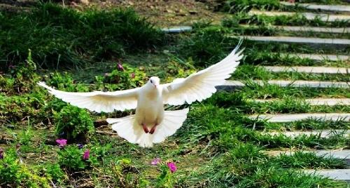 什么欣慰_富春环保(002479)股吧_东方财富网股吧