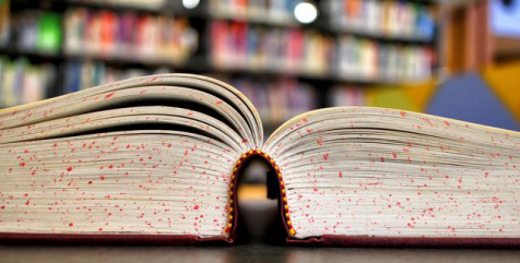 人丑不一定要多读书!炒股看书毁三观