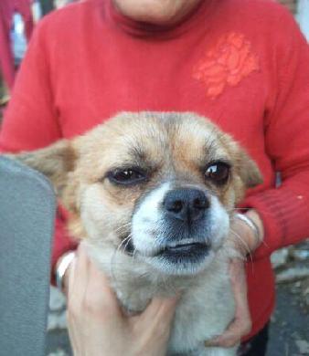 站上120日均线最强势,站上30日均线,60日均线