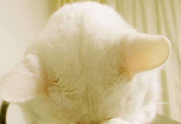 东方能源--抓住_东方能源(000958)股吧_东方财