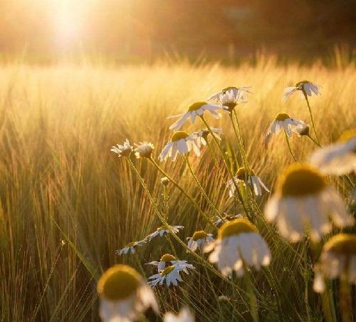 青龙管业 短期是否已经走完 下周如何操作?_青