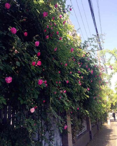 高升控股什么时候发布一季度报告_高升控股(0