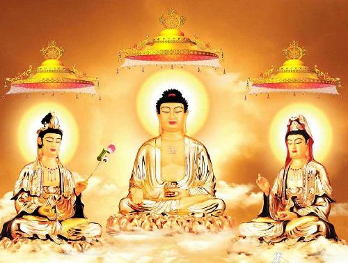 感谢佛,感谢各位菩萨保佑我中了603113股票一签,中签号8861,[鼓掌][鼓