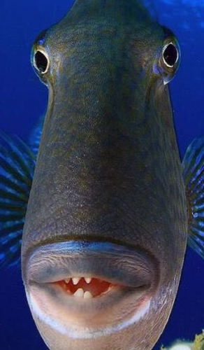 加入MSCl利好国海证券_全球股市(qqgs)股吧_