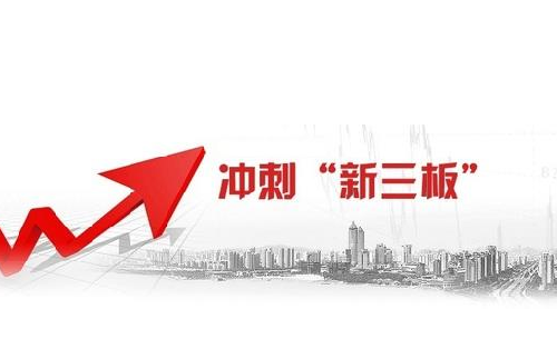 有效益收入的项目
