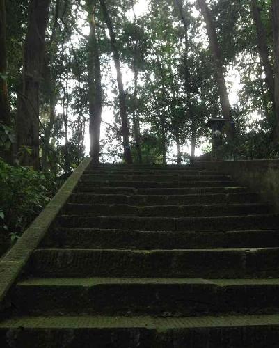 无为之道_*ST嘉陵(600877)股吧_东方财富网股吧